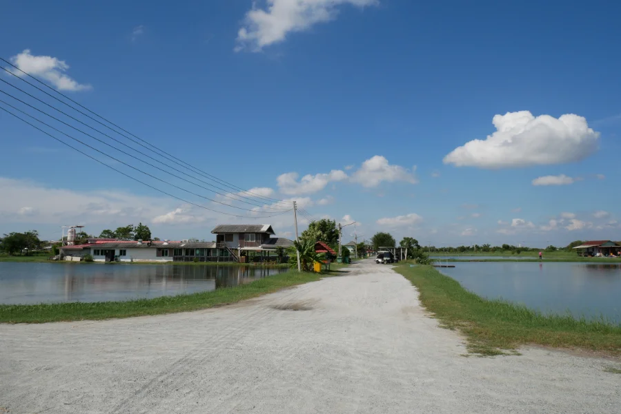 パイロット111全景