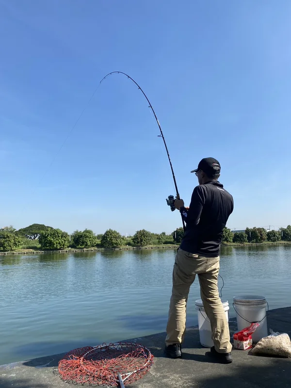 メコンオオナマズヒット