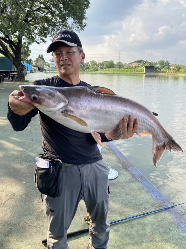 タイで釣れたナマズ
